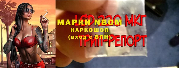 PSILOCYBIN Каменногорск