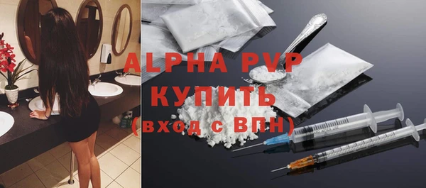 PSILOCYBIN Каменногорск
