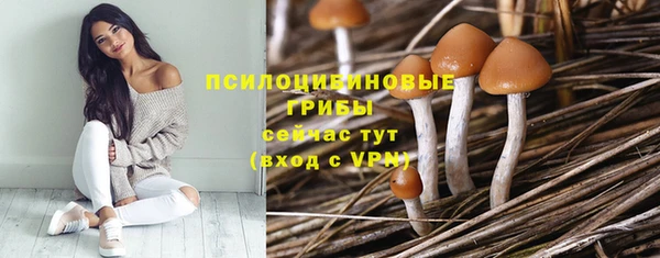PSILOCYBIN Каменногорск
