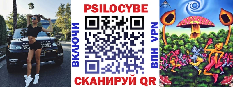 Купить  Льгов  Галлюциногенные грибы Psilocybe 